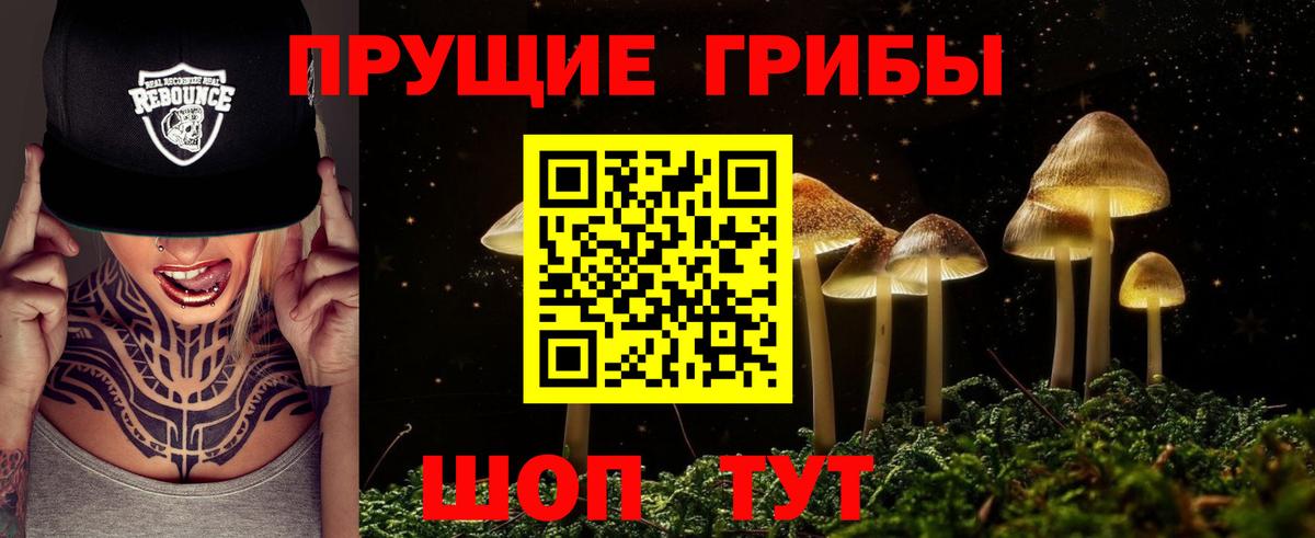Галлюциногенные грибы Psilocybe  Псилоцибиновые грибы Magic Shrooms  Вход с VPN  Азнакаево 